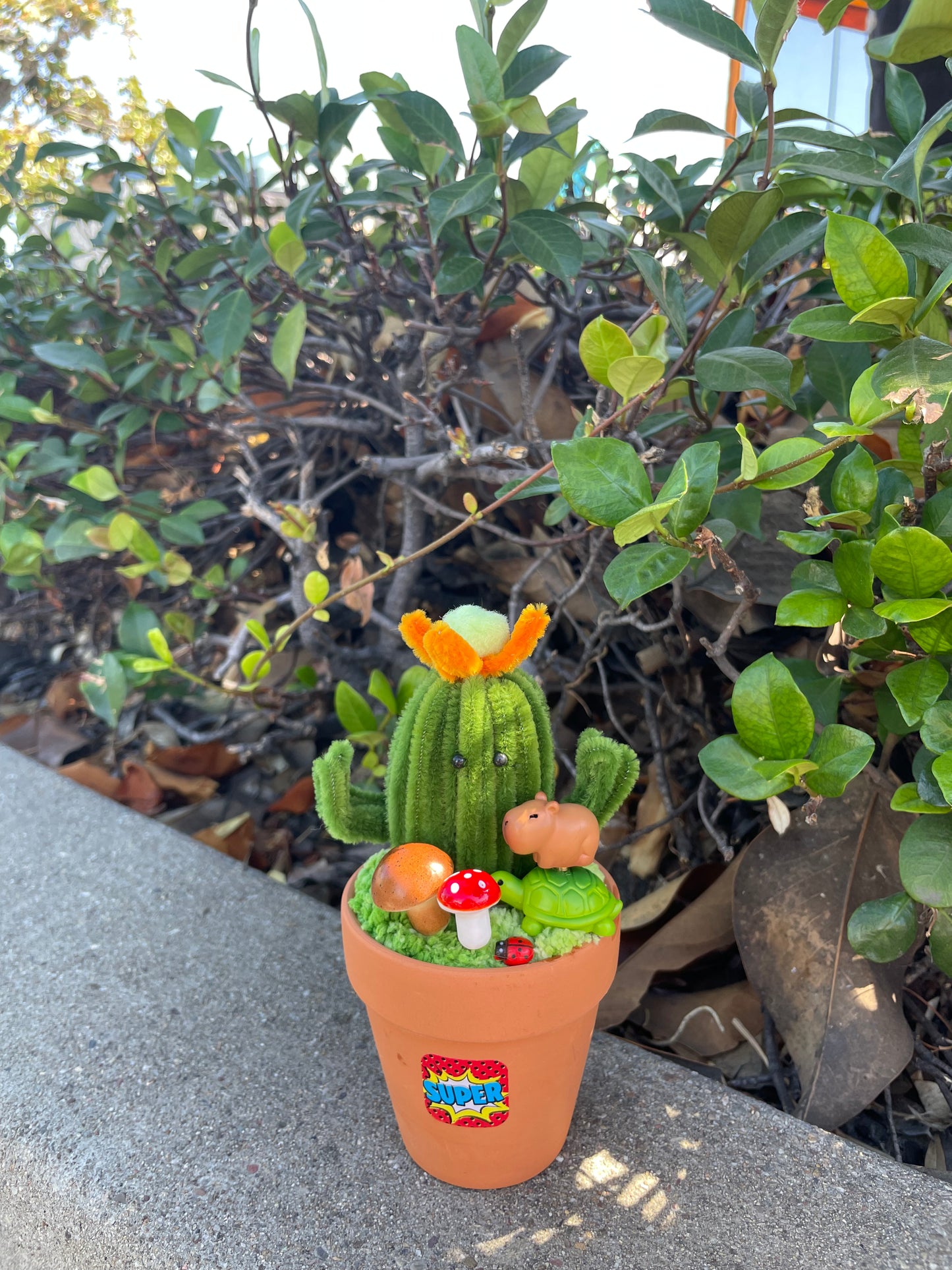 6 inches cactus Ornaments with Rotated Capybara on a turtle