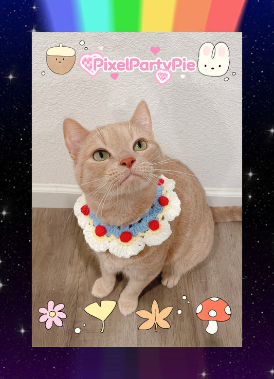 Cat & Small Dog Collar up to 25 pounds